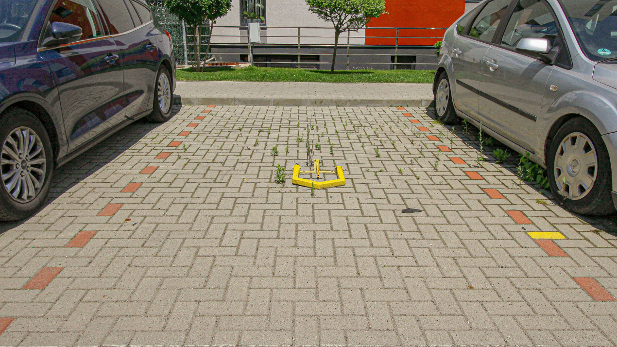 Studio de inchiriat Zona Avangarden 3