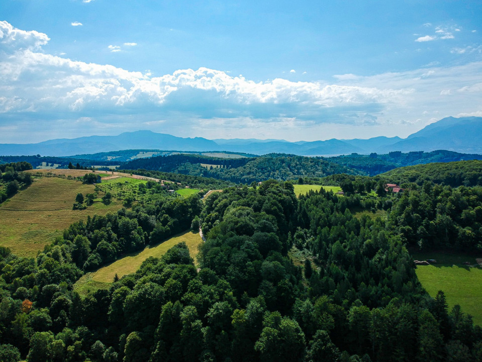 Teren 33720 mp  cu constructie demolata Poiana Marului OPORTUNITATE!!