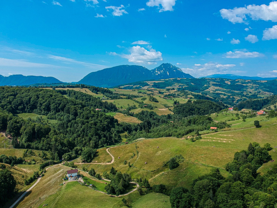Teren 33720 mp  cu constructie demolata Poiana Marului OPORTUNITATE!!