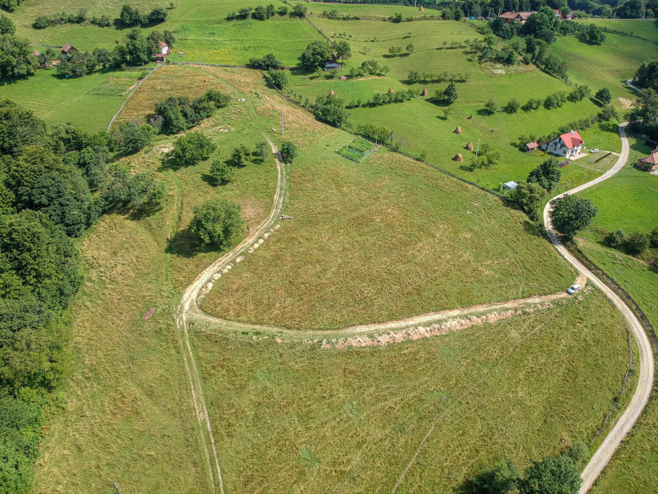 Teren 33720 mp  cu constructie demolata Poiana Marului OPORTUNITATE!!