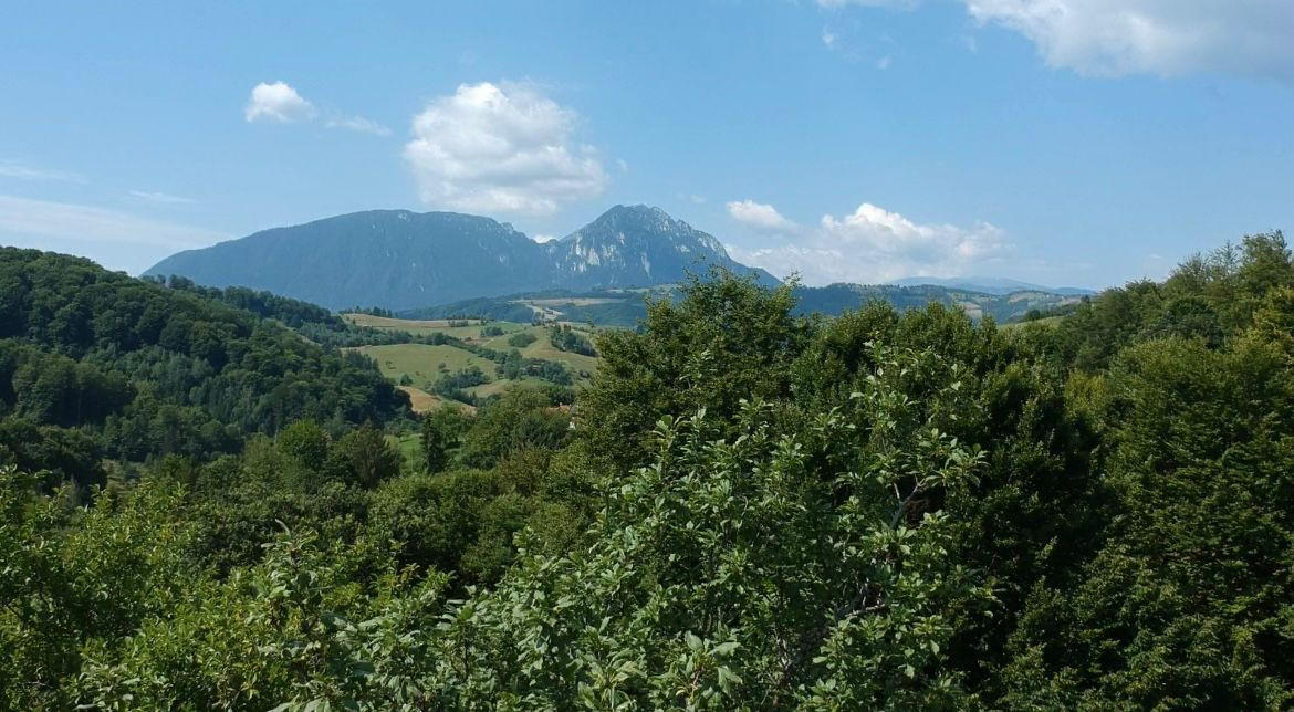 Teren 33720 mp  cu constructie demolata Poiana Marului OPORTUNITATE!!