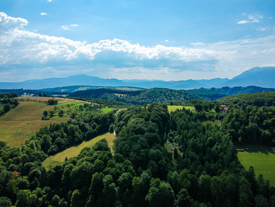 Teren 33720 mp  cu constructie demolata Poiana Marului OPORTUNITATE!!