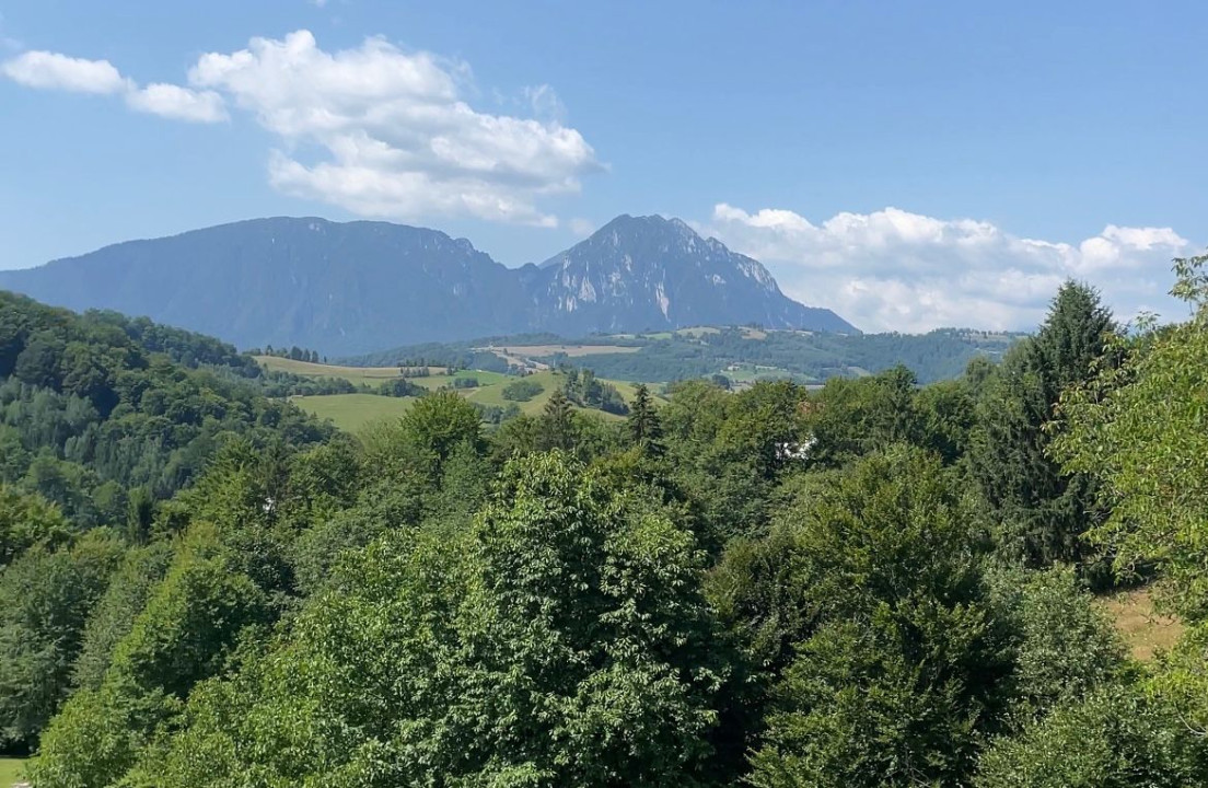 Teren 33720 mp  cu constructie demolata Poiana Marului OPORTUNITATE!!