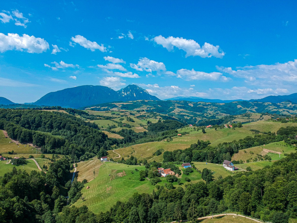 Teren 33720 mp  cu constructie demolata Poiana Marului OPORTUNITATE!!
