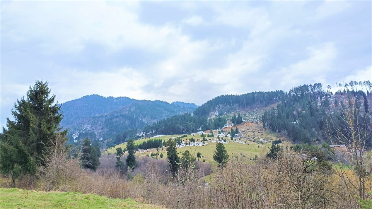 Teren Constructie Casa/ Pensiune, cu PUZ, Zona superba - Sacele