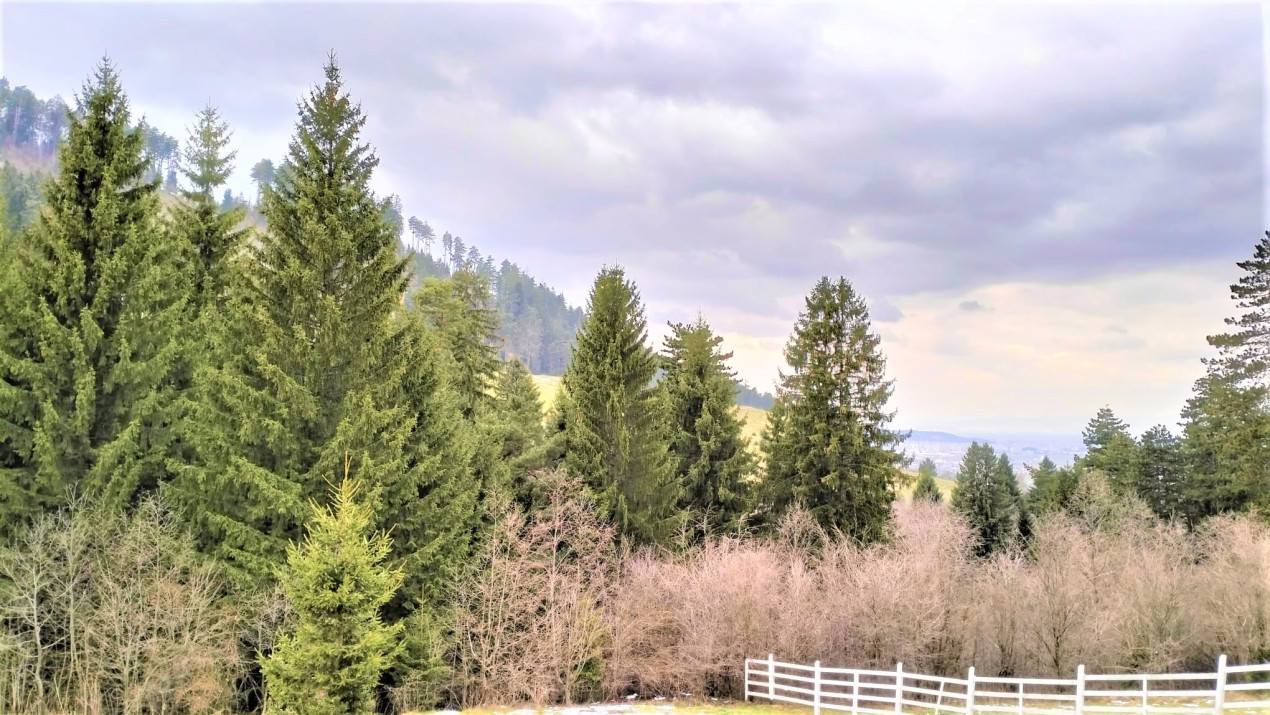 Teren Constructie Casa/ Pensiune, cu PUZ, Zona superba - Sacele