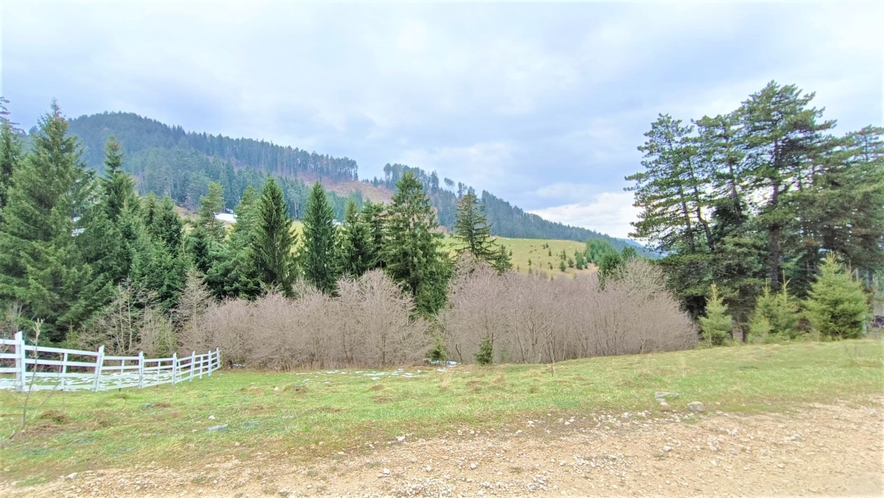 Teren Constructie Casa/ Pensiune, cu PUZ, Zona superba - Sacele