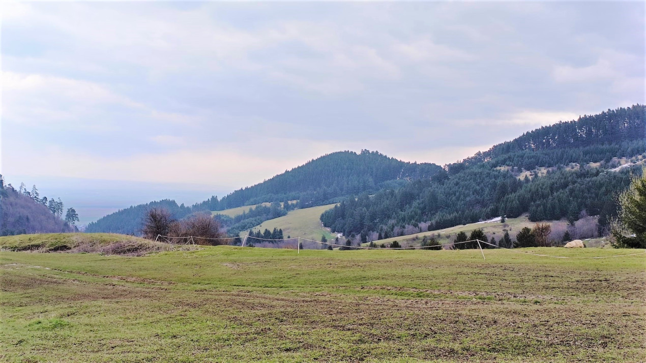 Teren Constructie Casa/ Pensiune, cu PUZ, Zona superba - Sacele