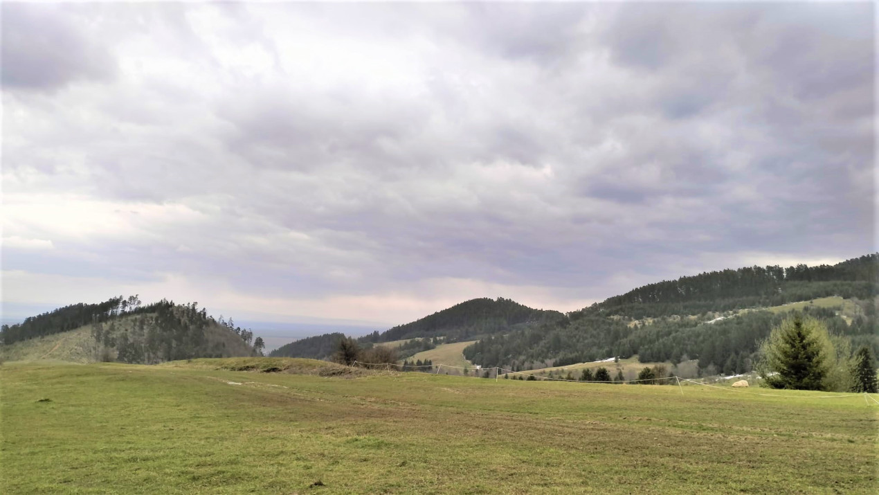 Teren Constructie Casa/ Pensiune, cu PUZ, Zona superba - Sacele