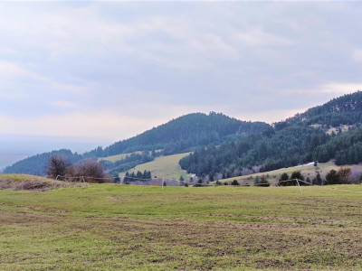 Teren Constructie Casa/ Pensiune, cu PUZ, Zona superba - Sacele