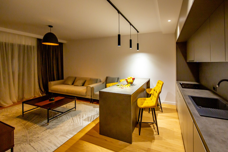 Apartament de 2 camere + birou