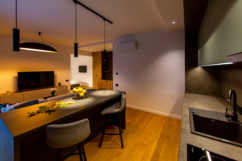 Apartament de tip studio