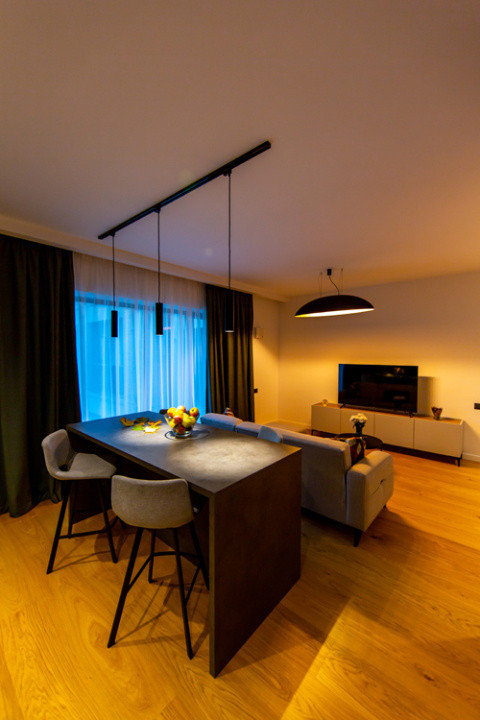 Apartament de tip studio