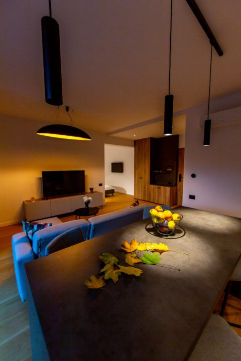 Apartament de tip studio