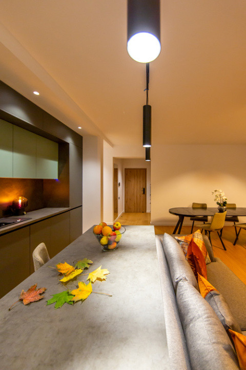Apartament cu 3 camere