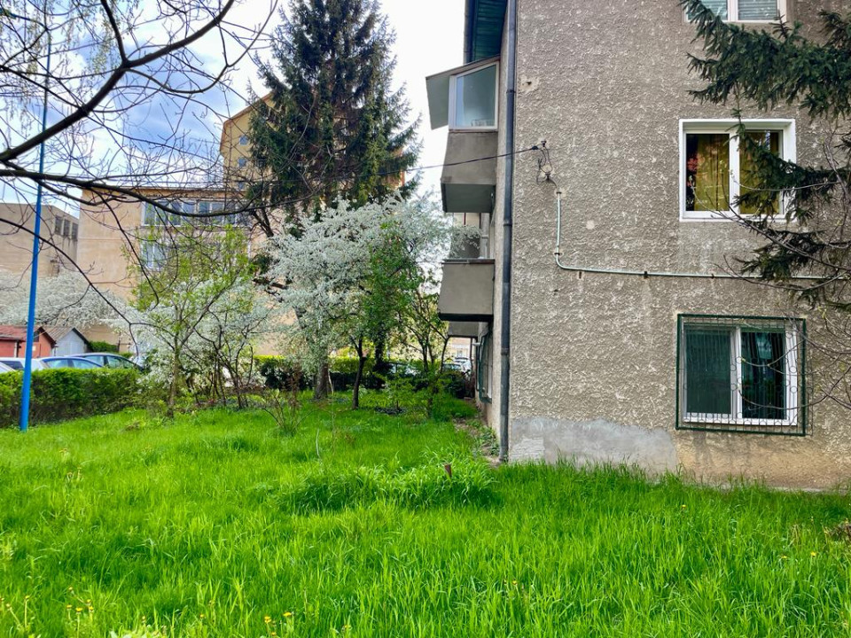 Apartament cochet zona Avram Iancu 