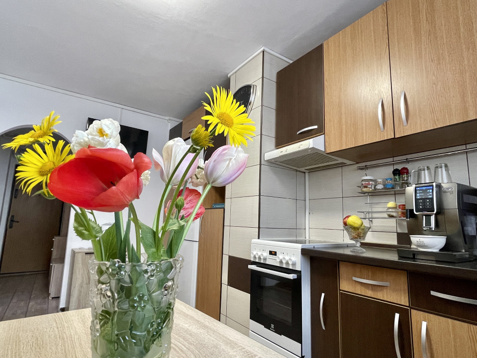 Apartament 3 camere strada Apollo